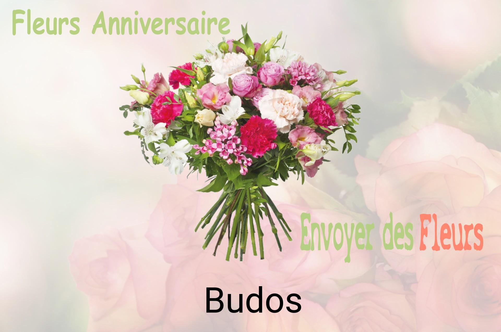 Bouquet de fleurs d’anniversaire livré à Budos