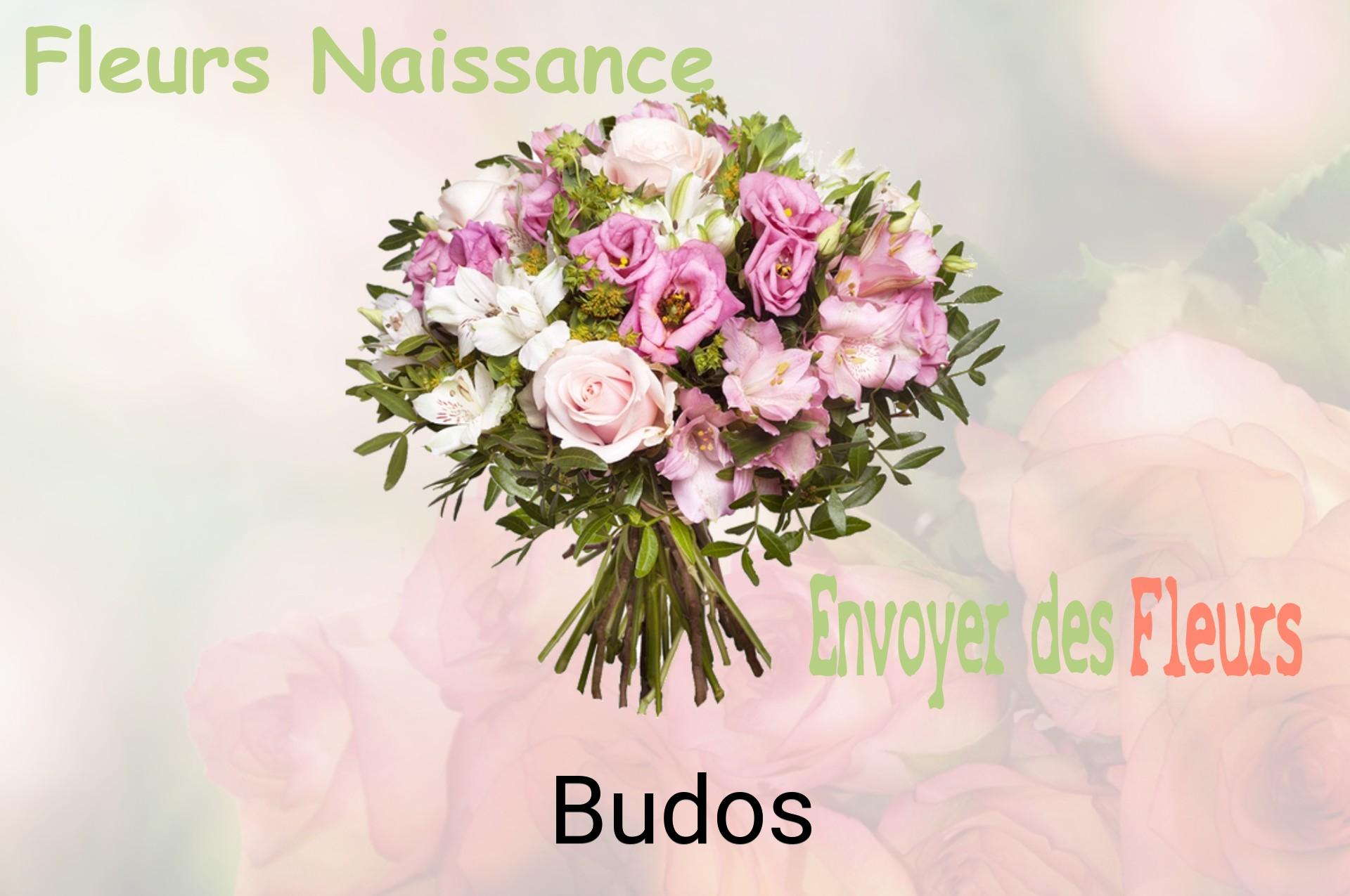 Bouquet de fleurs de naissance livré à Budos