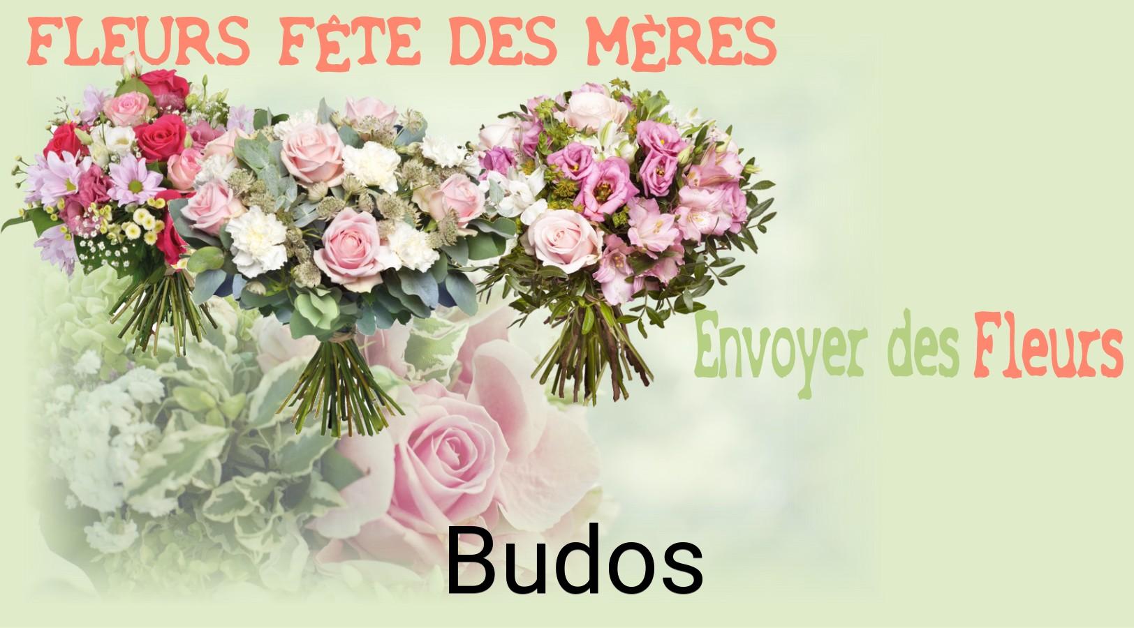Bouquet de Fête des Mères livré à Budos
