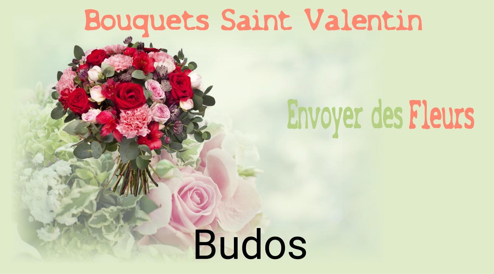 Roses de Saint-Valentin livrées à Budos